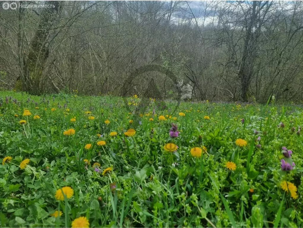 Участок в Хадыженск, Цветочный переулок, 2А (6.65 м) - Фото 1