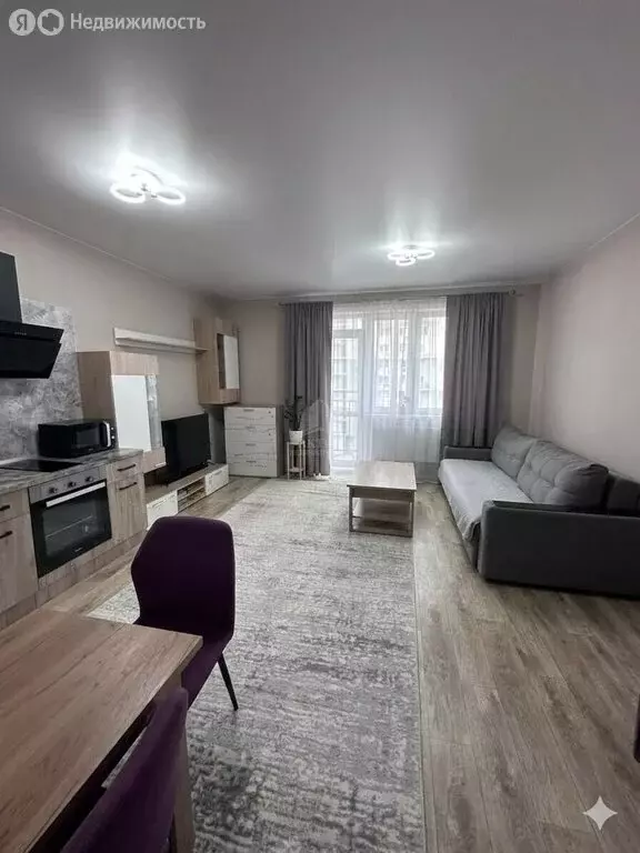 Квартира-студия: Красноярск, улица Петра Подзолкова, 24 (30.7 м) - Фото 2
