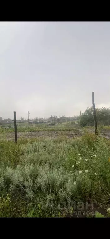 Участок в Воронежская область, Рамонский район, с. Новоживотинное ... - Фото 1