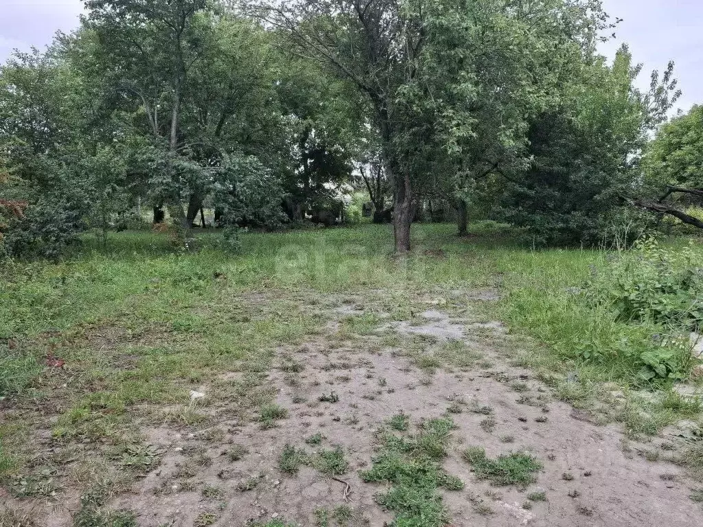 Участок в Белгородская область, Белгородский район, Северный городское ... - Фото 0