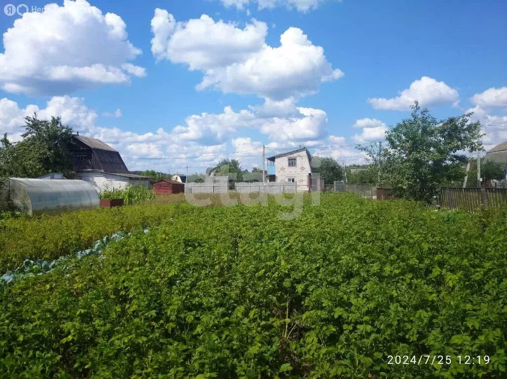 Дом в посёлок Новые Дарковичи, Солнечная улица (50 м) - Фото 1