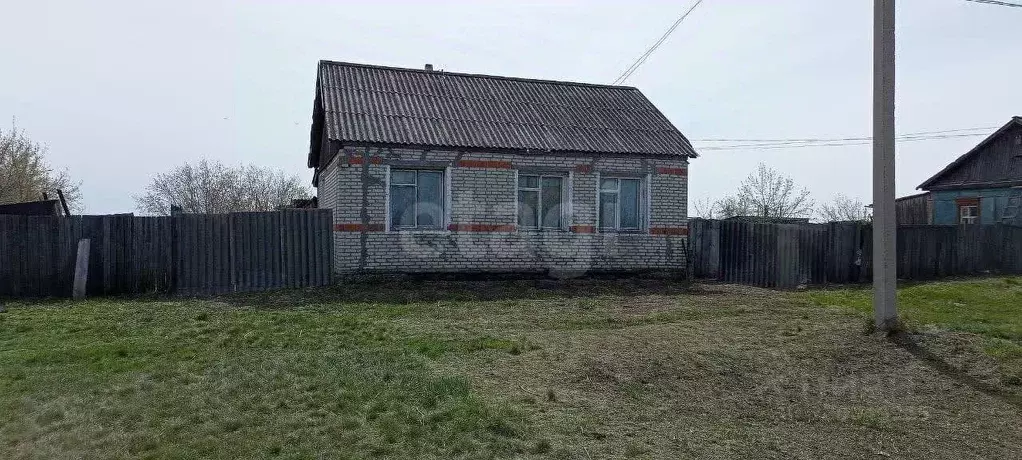 Дом в Курганская область, Макушинский муниципальный округ, с. Большое ... - Фото 2