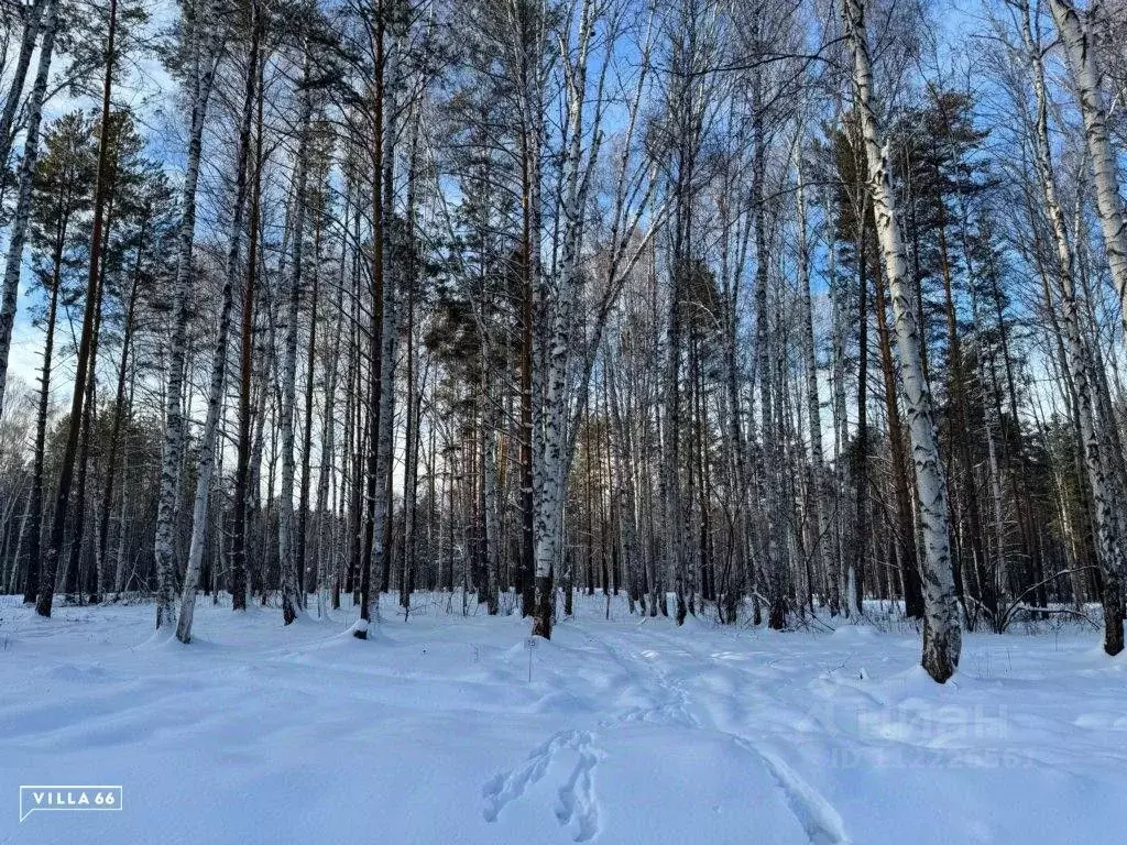 Участок в Свердловская область, Сысертский городской округ, пос. ... - Фото 0