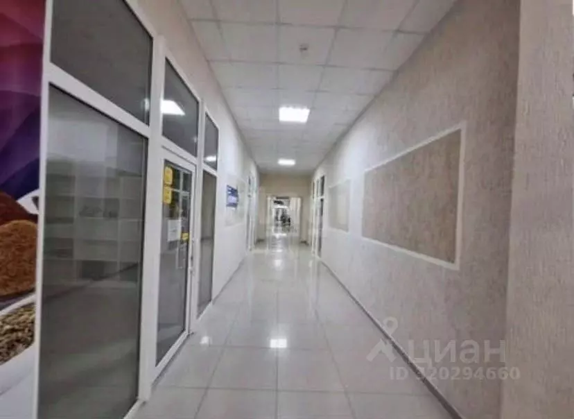 Помещение свободного назначения в Краснодарский край, Геленджик ... - Фото 1