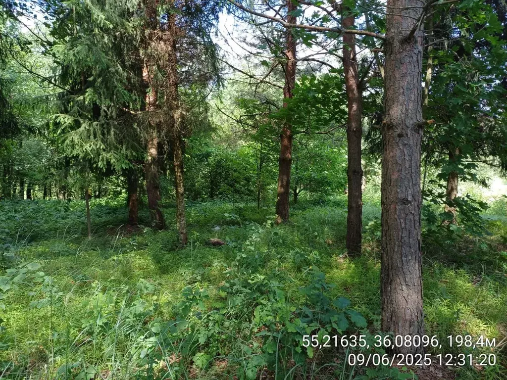 Участок в Московская область, Наро-Фоминский городской округ, д. ... - Фото 1