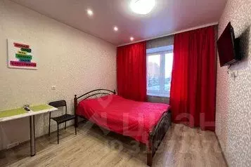1-к кв. Новосибирская область, Новосибирск ул. Серафимовича, 8 (25.0 ... - Фото 0