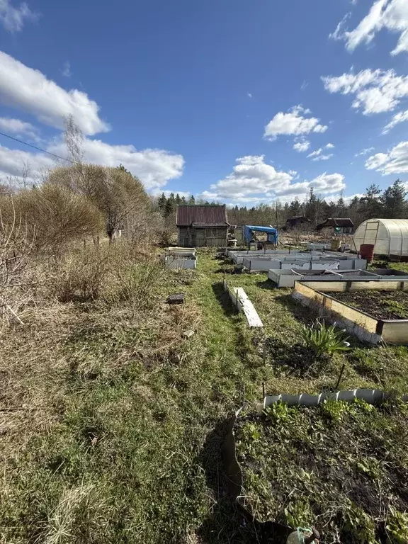 Дом в Новгородская область, Чудово Полянка СТ,  (19 м) - Фото 2