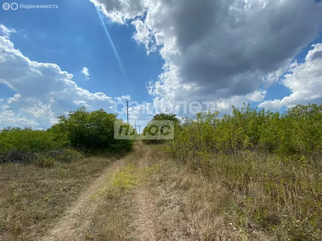 Участок в Ставрополь, садовое товарищество Крокус (6.1 м) - Фото 0