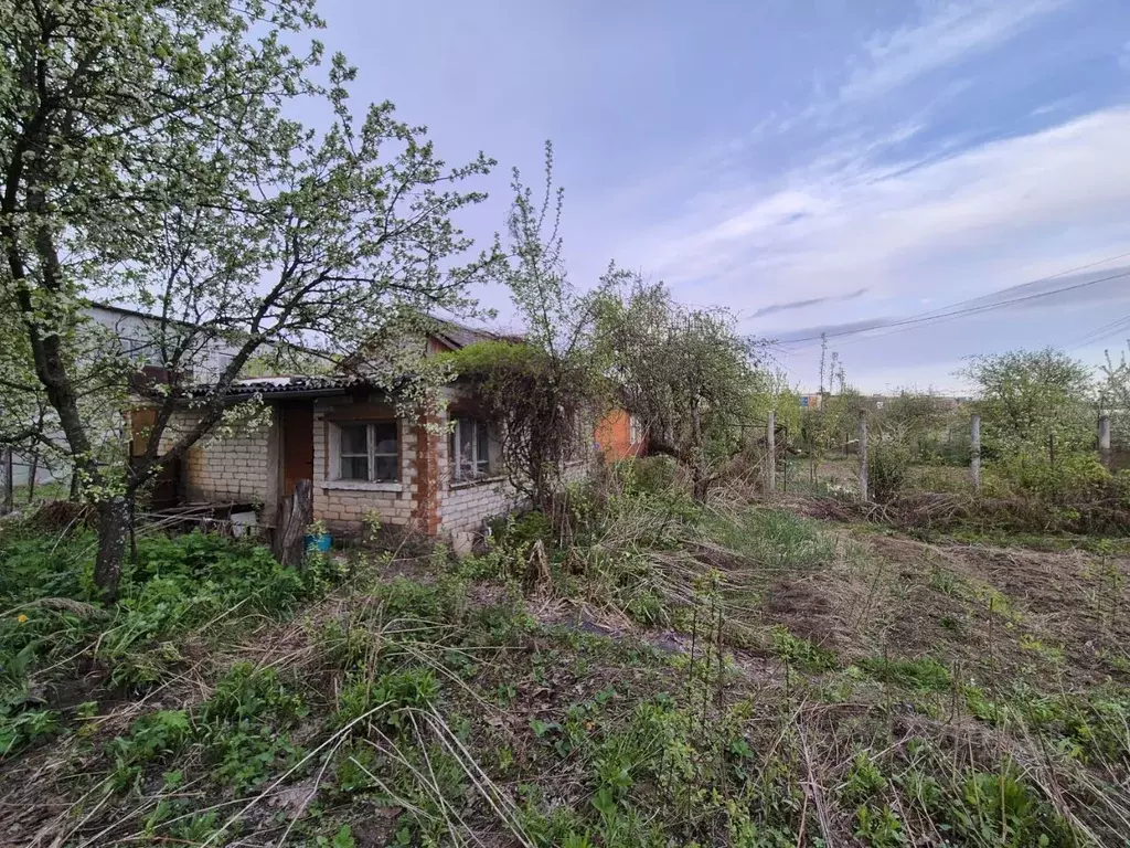 Участок в Брянская область, Брянск Городищенское СДТ, 13 (5.56 сот.) - Фото 0