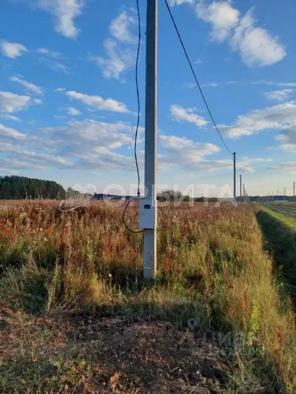 Участок в Тюменская область, Тюменский муниципальный округ, с. Кулига ... - Фото 1