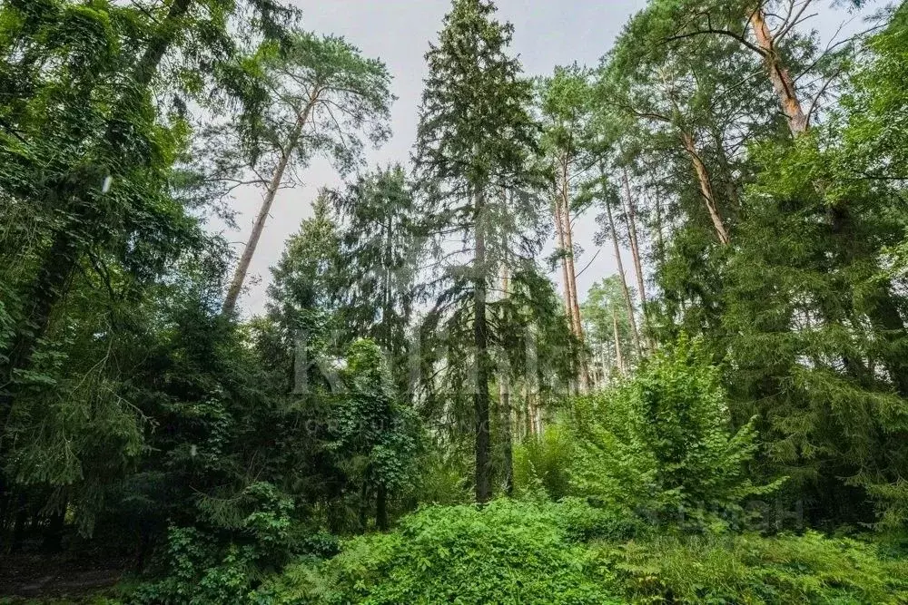 Участок в Московская область, Истра муниципальный округ, д. Чесноково, ... - Фото 1