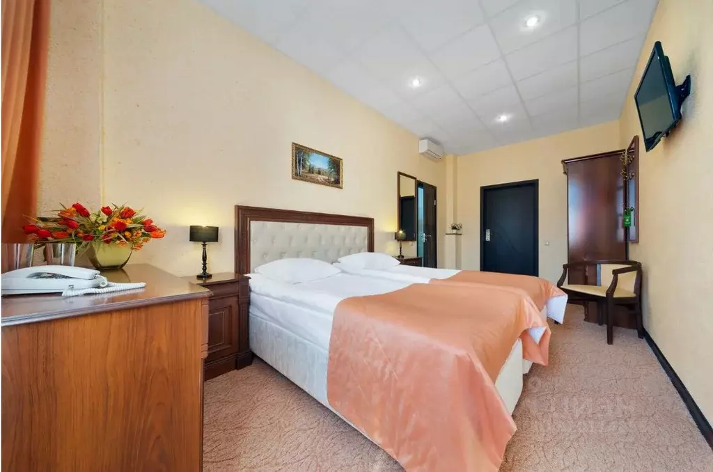 Комната Воронежская область, Воронеж Плехановская ул., 10А (20.0 м) - Фото 1