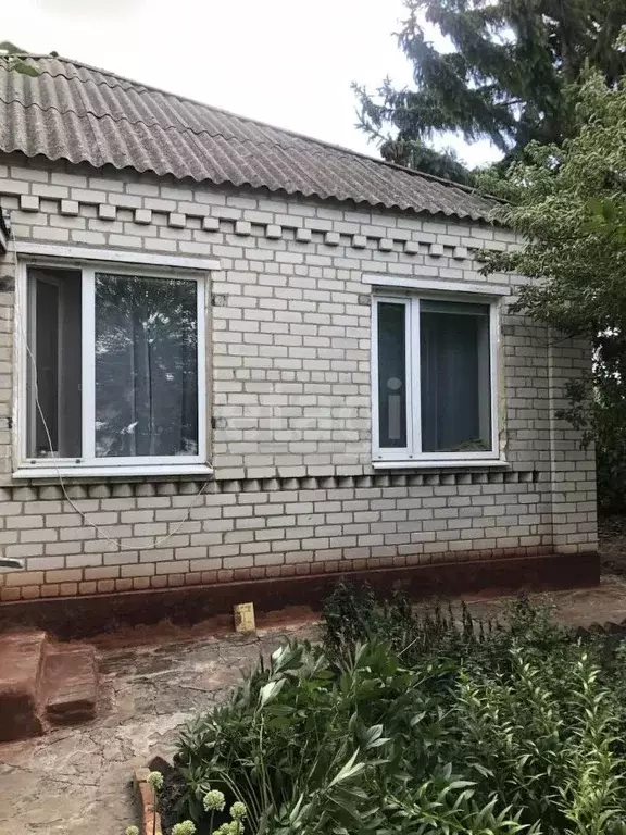 Дом в Курская область, Беловский район, Ильковский сельсовет, с. ... - Фото 0
