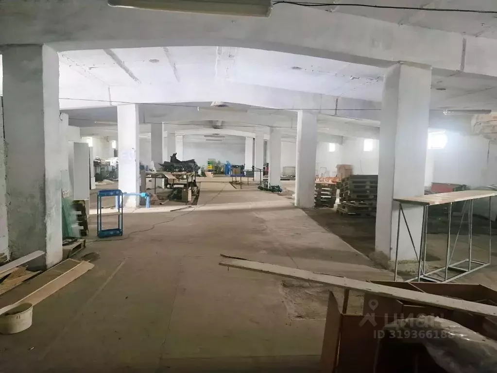Помещение свободного назначения в Татарстан, Камско-Устьинский район, ... - Фото 0
