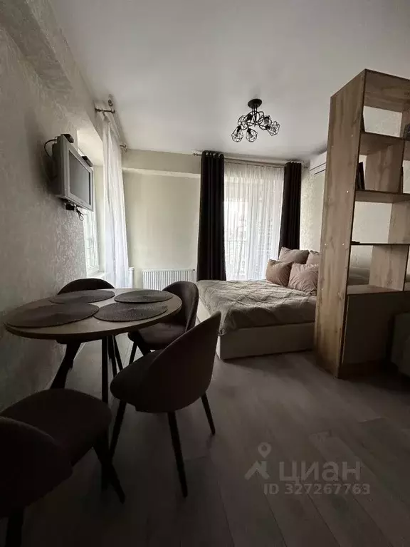 Студия Краснодарский край, Сочи городской округ, Дагомыс пгт ул. ... - Фото 2