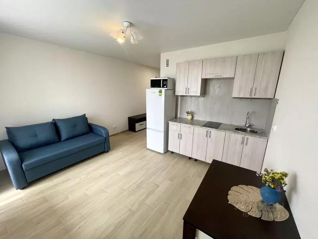 Студия Нижегородская область, Нижний Новгород просп. Героев Донбасса, ... - Фото 1