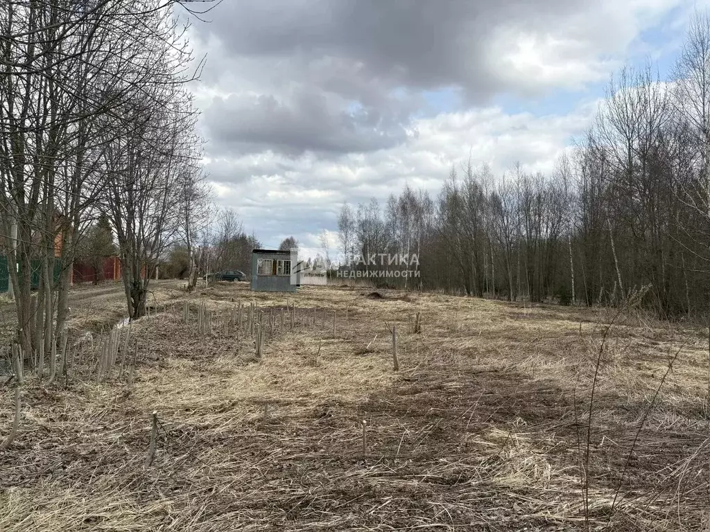 Участок в Московская область, Дмитровский муниципальный округ, Ащерино ... - Фото 1
