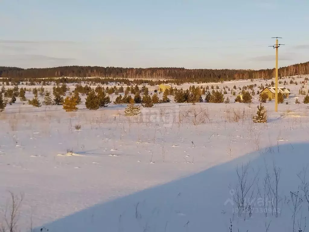 Участок в Ульяновская область, Тереньгульский район, Подкуровское ... - Фото 1