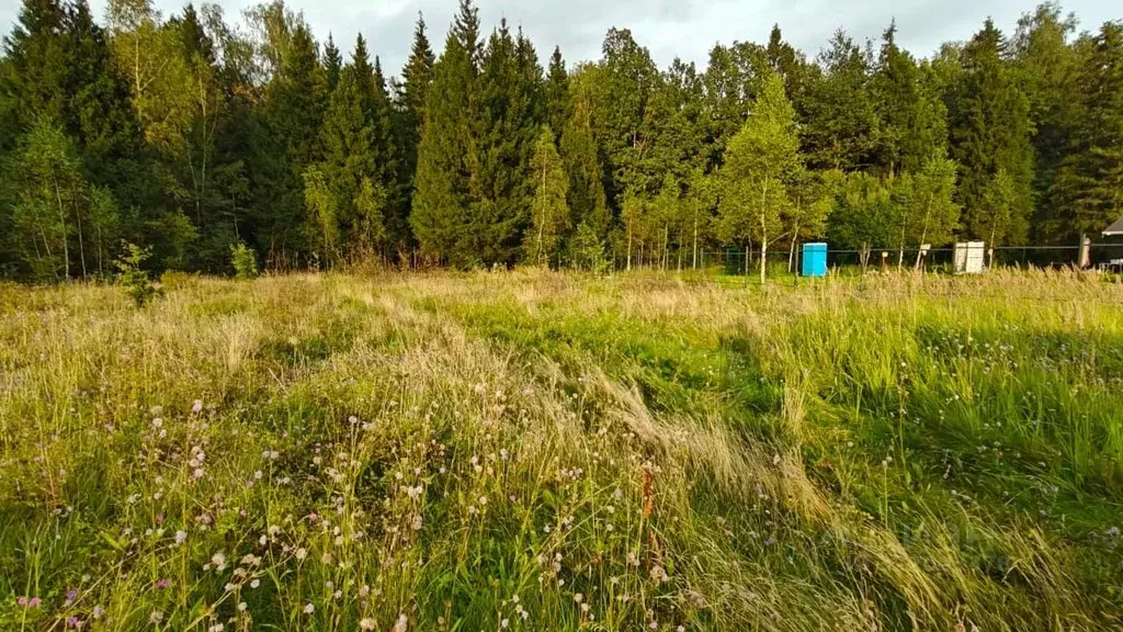 Участок в Московская область, Рузский муниципальный округ, пос. ... - Фото 1