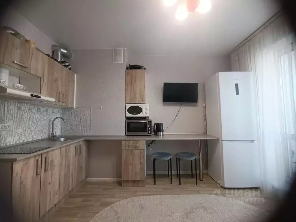 Студия Новосибирская область, Новосибирск Спортивная ул., 35 (22.0 м) - Фото 1