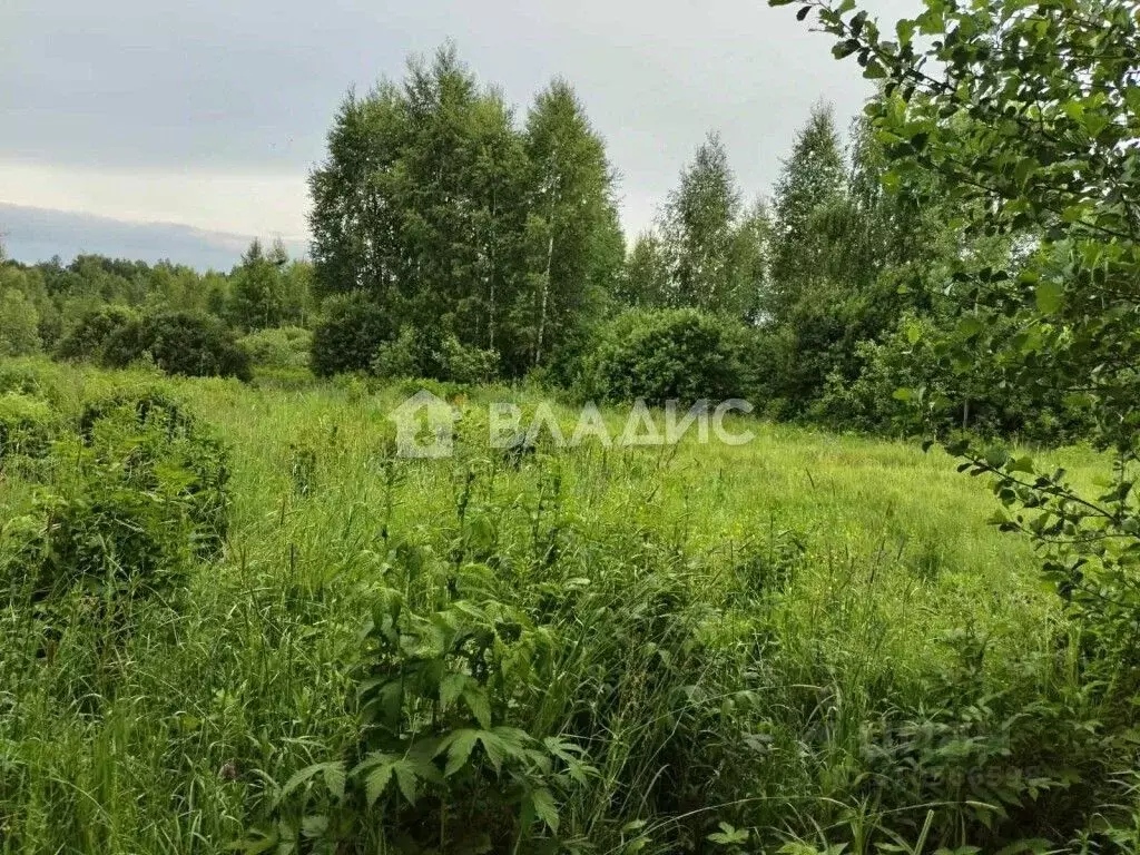 Участок в Владимирская область, Судогодский район, Лавровское ... - Фото 1