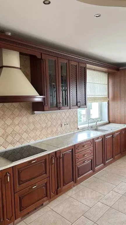 3-к кв. Новосибирская область, Новосибирск ул. Галущака, 17 (111.0 м) - Фото 1