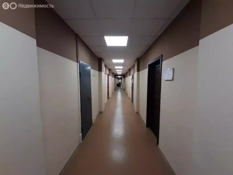 Офис (24.6 м) - Фото 2