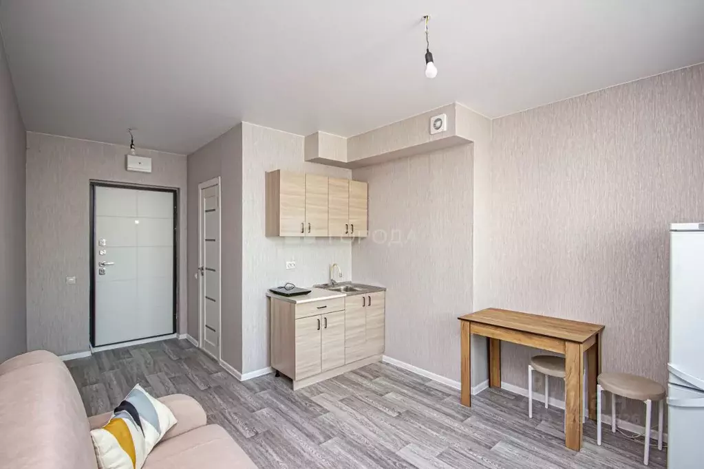 Студия Новосибирская область, Новосибирский район, Станционный ... - Фото 2