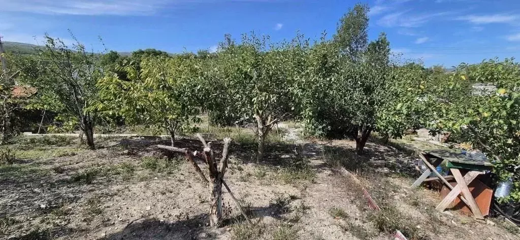 Участок в Краснодарский край, Геленджик городской округ, Дружба СТ ул. ... - Фото 1
