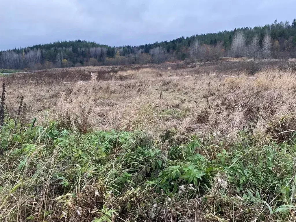 Участок в Карелия, Сортавальский муниципальный округ, пос. ... - Фото 2