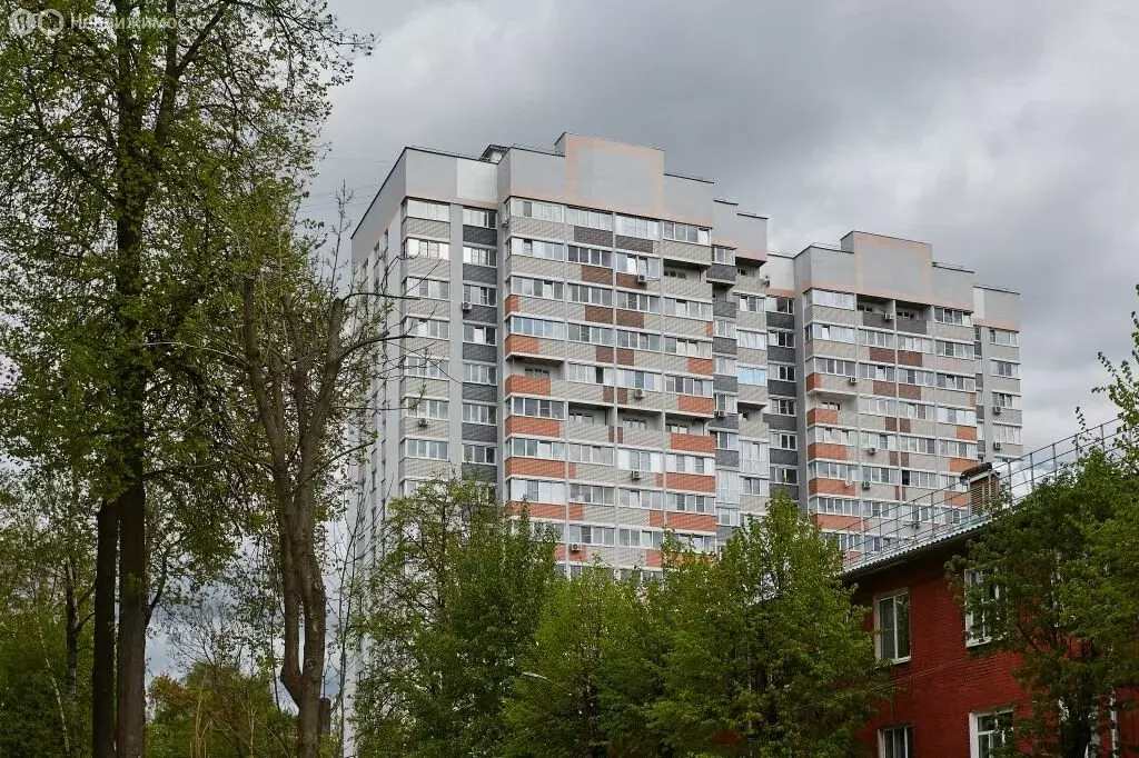 Квартира-студия: Владимир, улица Фейгина, 22 (27.4 м) - Фото 1