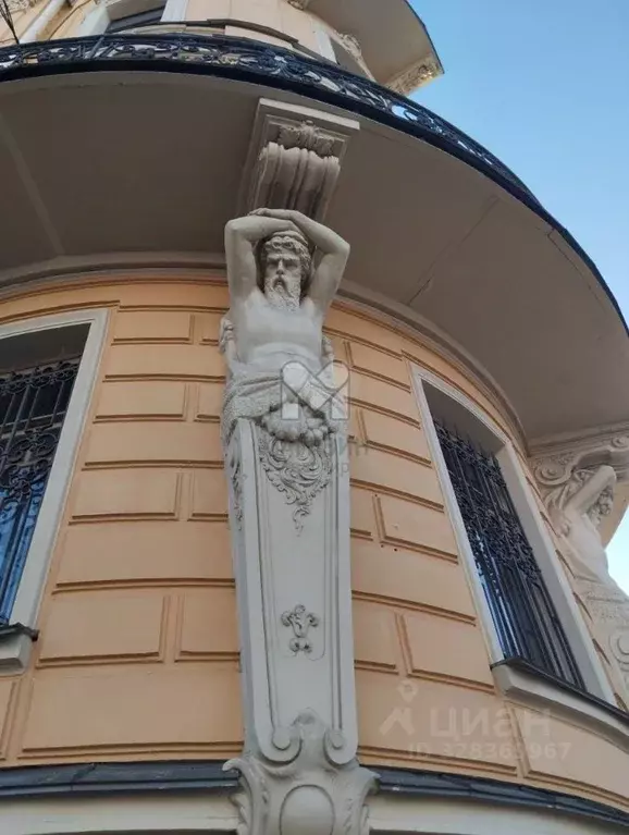 Помещение свободного назначения в Санкт-Петербург Кирочная ул., 45 ... - Фото 1