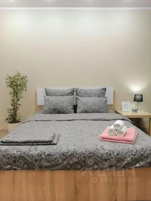 1-к кв. Татарстан, Казань Товарищеская ул., 34 (44.0 м) - Фото 2