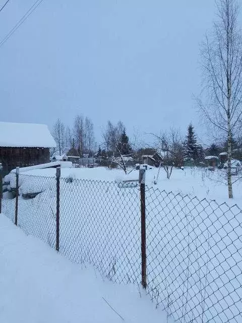 Участок в Ленинградская область, Гатчинский муниципальный округ, Учхоз ... - Фото 1