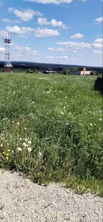 Участок в Свердловская область, Первоуральск муниципальный округ, пос. ... - Фото 2