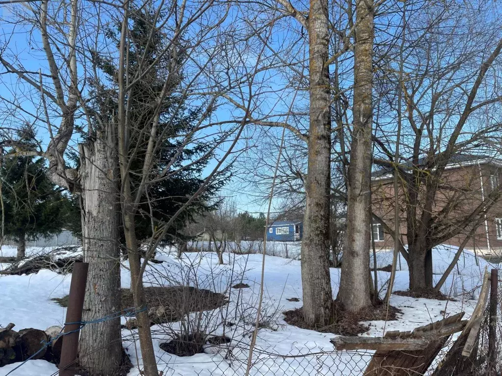 Участок в Московская область, Истра муниципальный округ, д. Алехново  ... - Фото 2