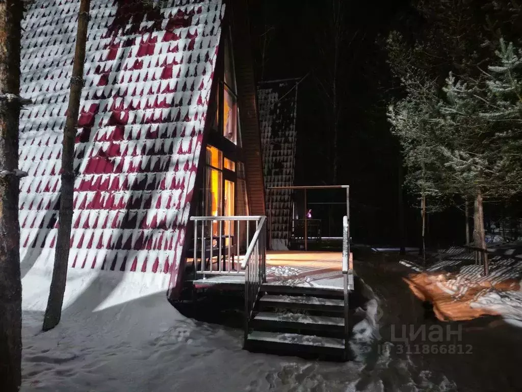 Дом в Нижегородская область, Шатковский муниципальный округ, с. ... - Фото 2