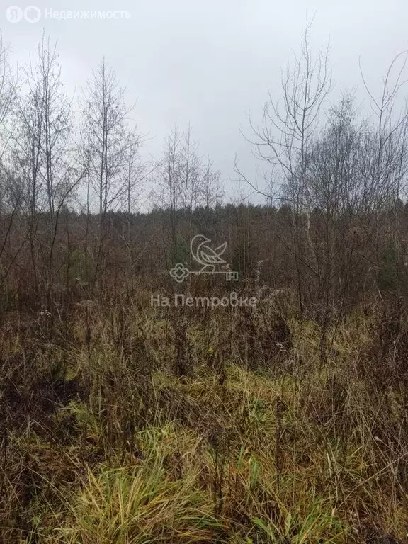 Участок в Наро-Фоминский городской округ, садовое товарищество Ритм ... - Фото 0