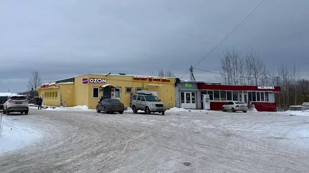 Торговая площадь в Ленинградская область, Гатчинский муниципальный ... - Фото 1