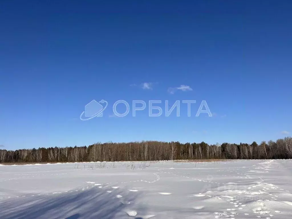 Участок в Тюменская область, Тюменский муниципальный округ, д. ... - Фото 2