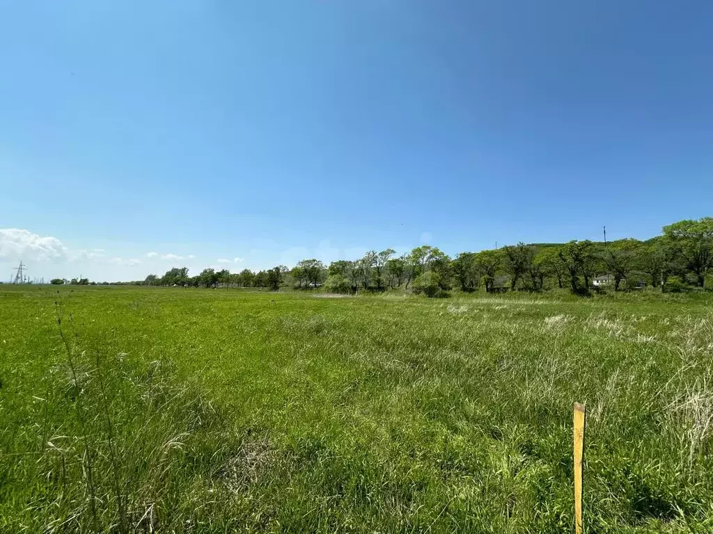 Участок, 12.2 сот., поселения (ижс) - Фото 2