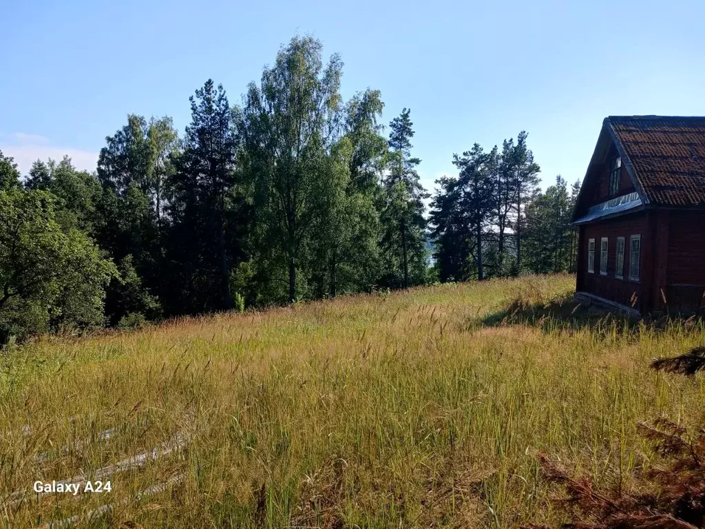 Участок в Ленинградская область, Лужский район, Толмачево городской ... - Фото 2