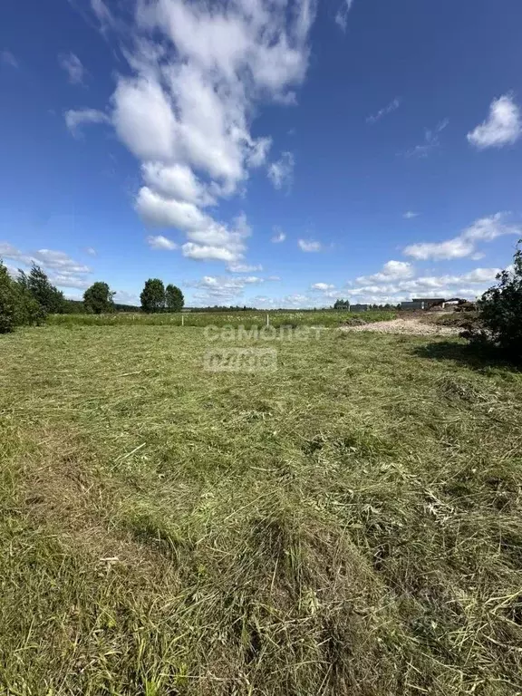 Участок в Московская область, Дмитровский муниципальный округ, д. ... - Фото 2