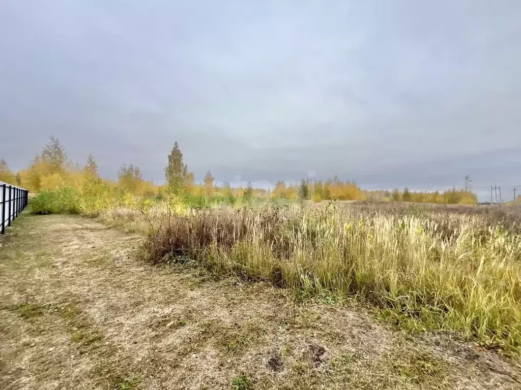 Участок в Мордовия, пос. Ромоданово ул. Мира (15.0 сот.) - Фото 2