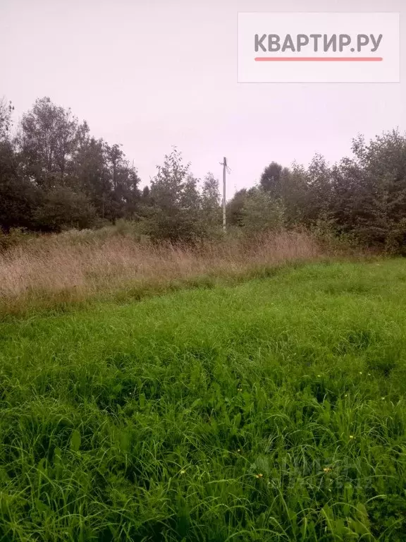 Участок в Ленинградская область, Всеволожский район, Имени Свердлова ... - Фото 0