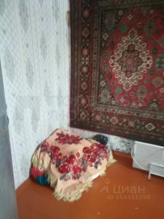 Дом в Новгородская область, Окуловка ул. Труда, 9 (30 м) - Фото 1