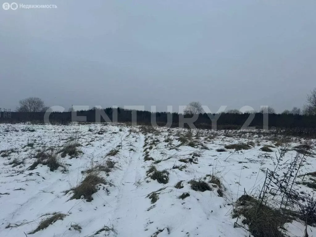 Участок в Ленинградская область, Гатчинский муниципальный округ, ... - Фото 1