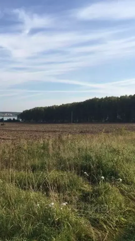 Участок в Нижегородская область, Чкаловск городской округ, д. Высокая  ... - Фото 1