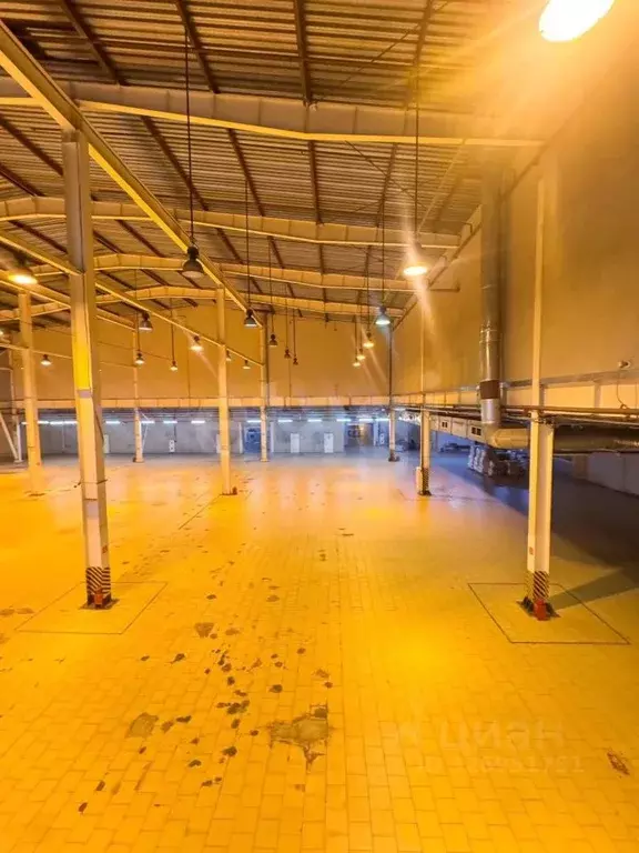 Склад в Московская область, Химки ш. Вашутинское, вл48 (2500 м) - Фото 2