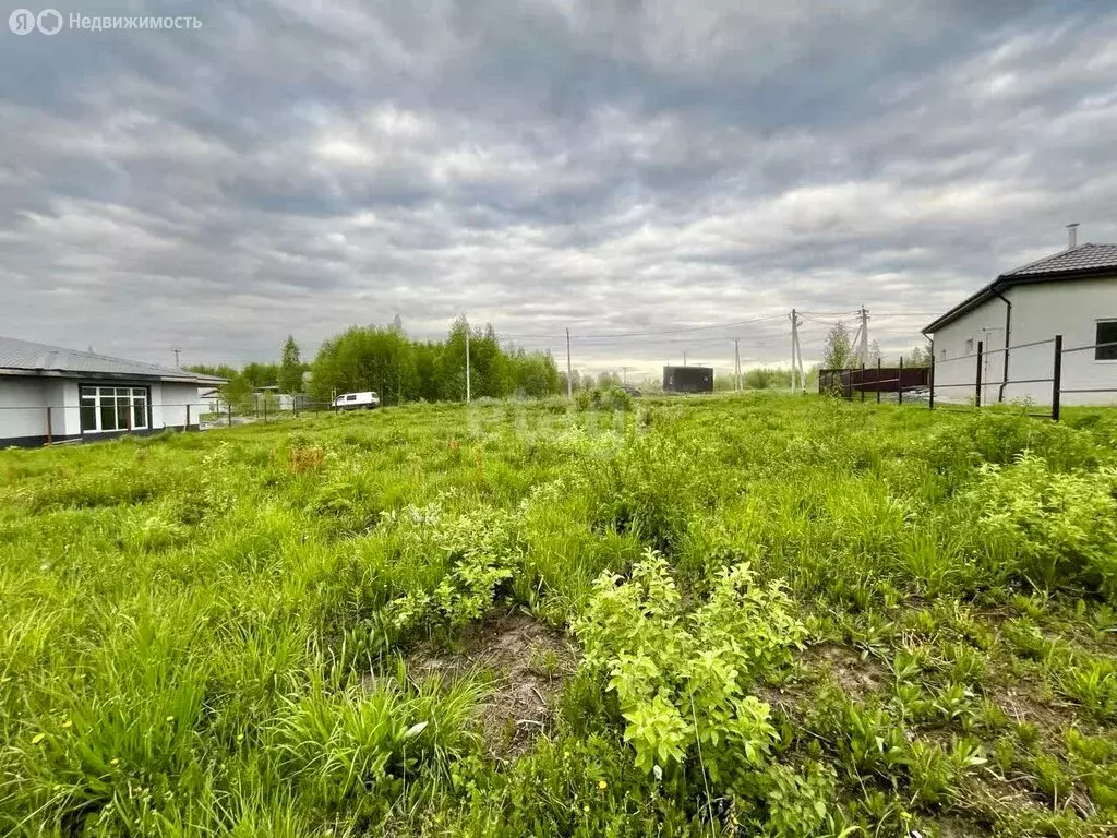 Участок в Кемеровский муниципальный округ, село Андреевка (15 м) - Фото 1